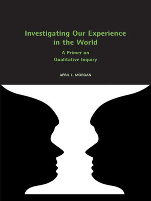 cover image of Investigating Our Experience in the World